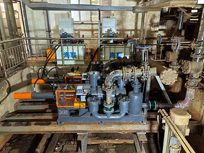 Horizontal Plunger Pump (for Screw Pump Replacement)